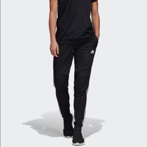 Adidas trio 15 climactic sweatpants